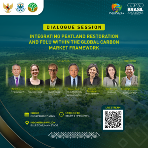 B9 – Integrating Peatland Restoration and FOLU within the Global Carbon Market Framework